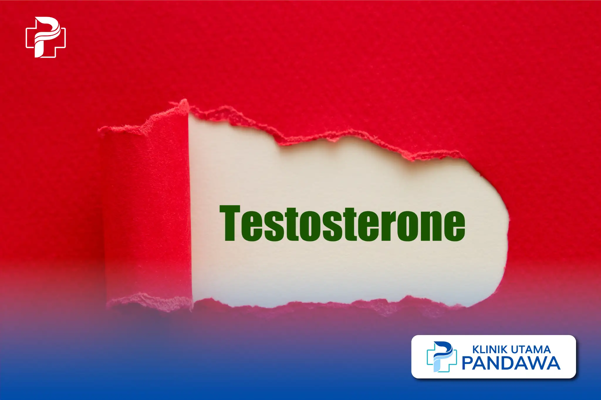 testosterone