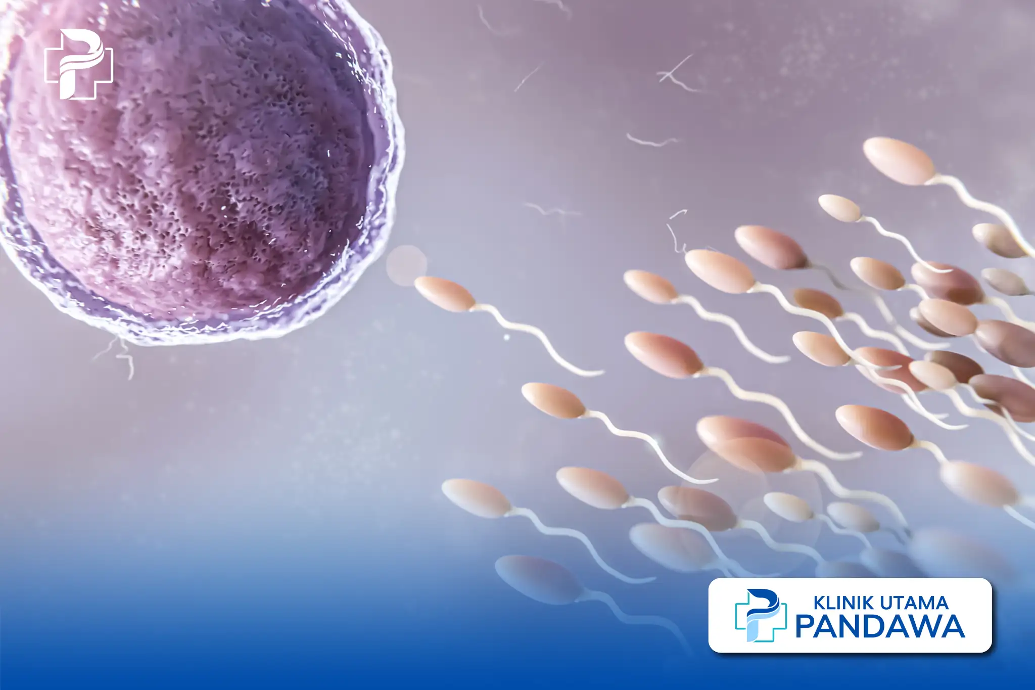 asthenozoospermia