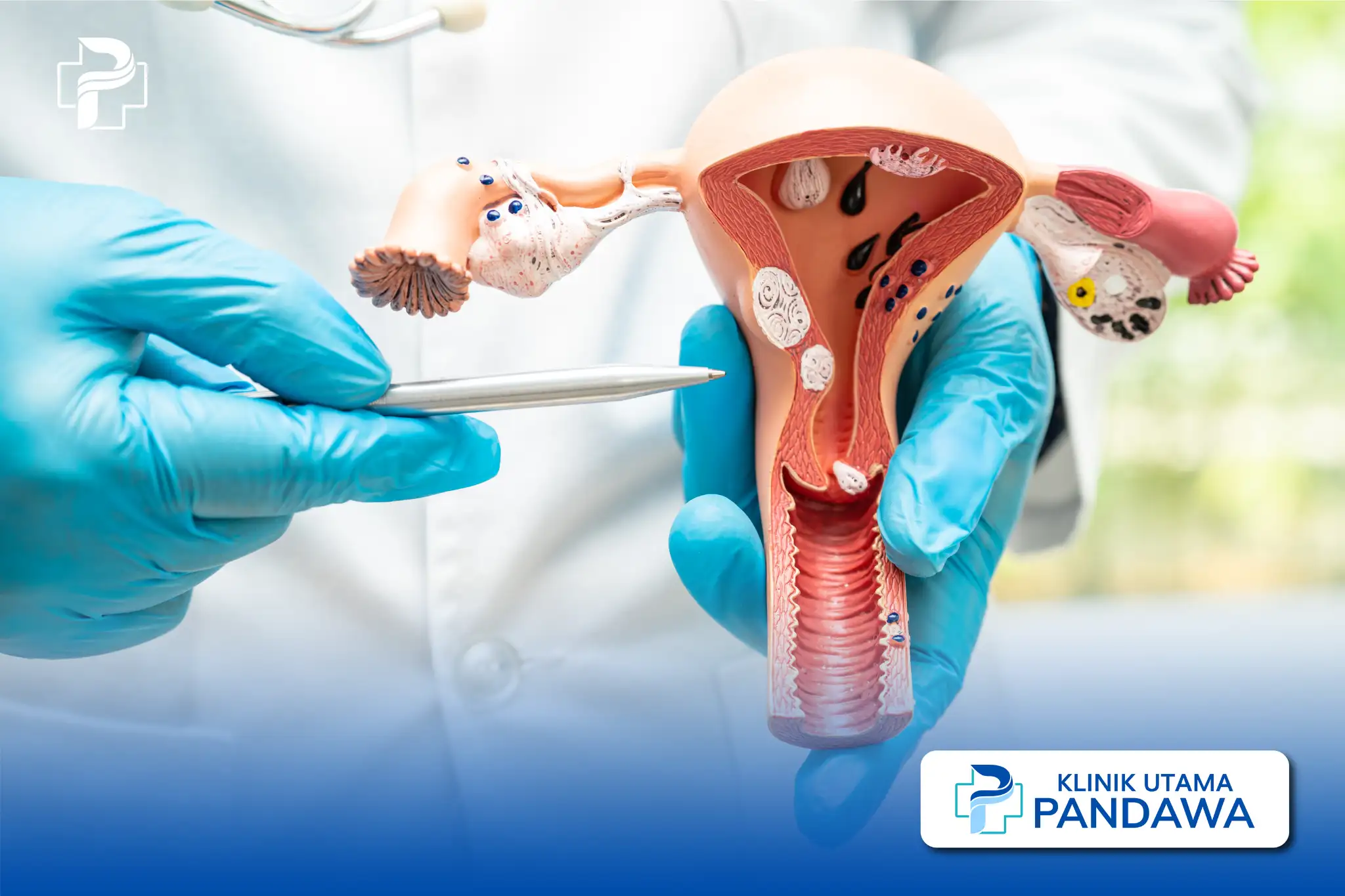 endometritis adalah